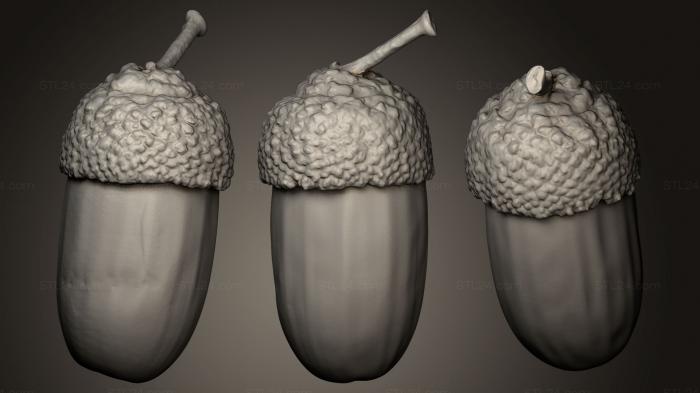 Miscellaneous figurines and statues (Acorn 3, STKR_0747) 3D models for cnc